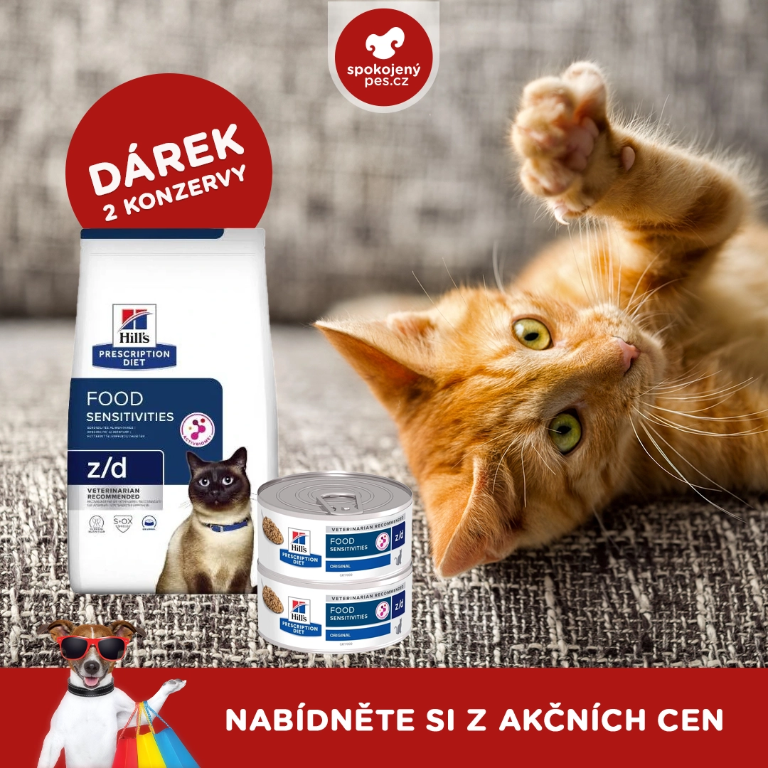 kocka 0001.webp